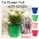 画像1: Tin Flower Pot with Handle Logo Type【全4種】 (1)