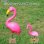 画像4: Big Flamingo Garden Stake (4)