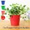 画像1: Tin Flower Pot with Handle【全4種】 (1)