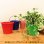 画像4: Tin Flower Pot with Handle【全4種】 (4)