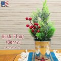 Bush Plant Berries
