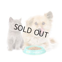 画像4: Bow Wow Meow Pet Bowl【全3種】