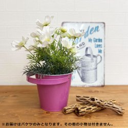 画像4: Color Mini Bucket【全2種】
