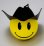 画像1: Happy Cowboy　Antenna Ball (1)