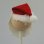 画像2: Antenna Ball (Santa) (2)