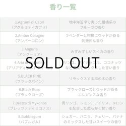 画像4: ARBRE MAGIQUE Air Freshener ( Coffee Aroma )【メール便OK】