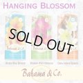 Bahama＆Co. Hanging Blossom Fresheners