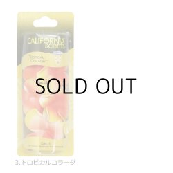 画像4: CALIFORNIA SCENTS Lei Air Freshener ( TROPICAL COLADA )