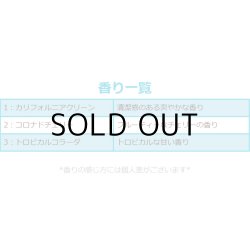 画像7: CALIFORNIA SCENTS Lei Air Freshener ( TROPICAL COLADA )