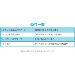 画像8: CALIFORNIA SCENTS Sandal Air Freshener ( TROPICAL COLADA  )