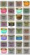 画像8: 【CALIFORNIA SCENTS Spillproof Organic Air Freshener】ディスプレイBOX付き72個セット！カリフォルニアセンツ