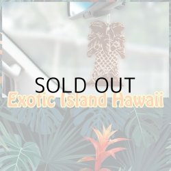 画像3: Exotica Palm Tree Air Fresheners ( Green Apple ) 【メール便OK】