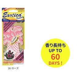 画像8: Exotica Palm Tree Air Fresheners  5-Pack Set【メール便送料無料】