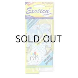 画像1: Exotica Palm Tree Air Fresheners ( FRESH SPRING ) 【メール便OK】