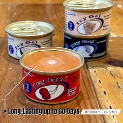 画像7: EXOTICA Icy Gel Air Freshener ( Coconut )