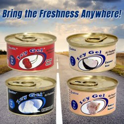 画像8: EXOTICA Icy Gel Air Freshener ( Coconut )