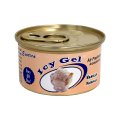 EXOTICA Icy Gel Air Freshener ( Vanilla )