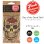 画像1: Fresh Fresheners （Day of the Dead Skull）【全4種】【メール便OK】 (1)