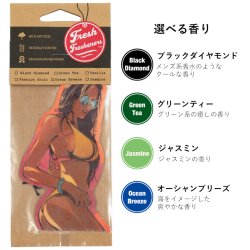 画像2: Fresh Fresheners （Mexicana）【全4種】【メール便OK】