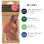 画像2: Fresh Fresheners （Mexicana）【全4種】【メール便OK】