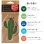 画像2: Fresh Fresheners （Cactus）【全5種】【メール便OK】