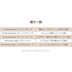 画像3: Jen Scents Paper Air Freshener Beach Design 5-Pack【メール便送料無料】