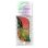 画像1: JenScents Paper Air Freshener ( Cucumber Melon ) 【メール便OK】 (1)
