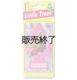 画像1: 【販売終了】Little Trees 1-Pack（ Cinna-Berry ）