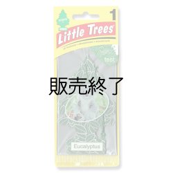 画像1: 【販売終了】Little Trees 1-Pack（ Eucalyptus ）