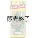 【販売終了】Little Trees 1-Pack（ Forest Fresh ）