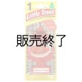 【販売終了】Little Trees 1-Pack（ Heirloom Tomato ）