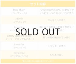 画像2: Little Trees  6-Pack Flower & Tree Set【メール便送料無料】