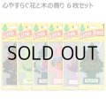 Little Trees  6-Pack Flower & Tree Set【メール便送料無料】