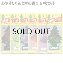 画像1: Little Trees  6-Pack Flower & Tree Set【メール便送料無料】