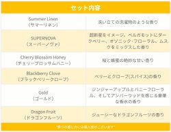画像2: Little Trees  6-Pack Recommend Set【メール便送料無料】