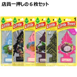 画像1: Little Trees  6-Pack Recommend Set【メール便送料無料】