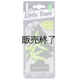 画像1: 【販売終了】Little Trees 1-Pack（ Sentiment STRENGTH ）