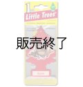 【販売終了】Little Trees 1-Pack（ Spice ）