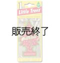 【販売終了】Little Trees 1-Pack（ Strawberry Kiwi ）