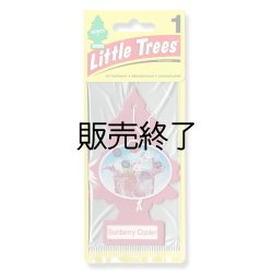 画像1: 【販売終了】Little Trees 1-Pack（ Sunberry Cooler ）