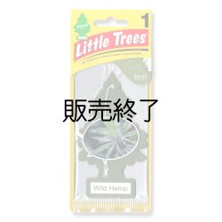 画像1: 【販売終了】Little Trees 1-Pack（ Wild Hemp ）