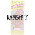 【販売終了】Little Trees 1-Pack（ Copper Canyon ）