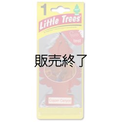 画像1: 【販売終了】Little Trees 1-Pack（ Copper Canyon ）