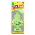 Little Trees ( Jasmin ) 1P 【メール便OK】