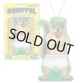 Squirrel in underpants Deluxe Air Freshener　【メール便OK】