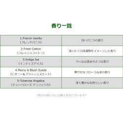 画像8: FRSH SCENTS LUXURY AIR FRESHENER ( Fresh Cotton )【メール便OK】