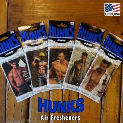 画像1: Sexy Hunks Air Freshener 3枚セット