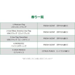 画像5: Flags Air Fresheners ( PATRIOTIC )【メール便OK】