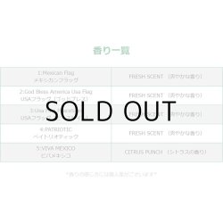 画像5: Flags Air Fresheners ( God Bless America Usa Flag )【メール便OK】