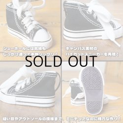 画像3: Areon Fresh Wave  Air Freshener ( Money )